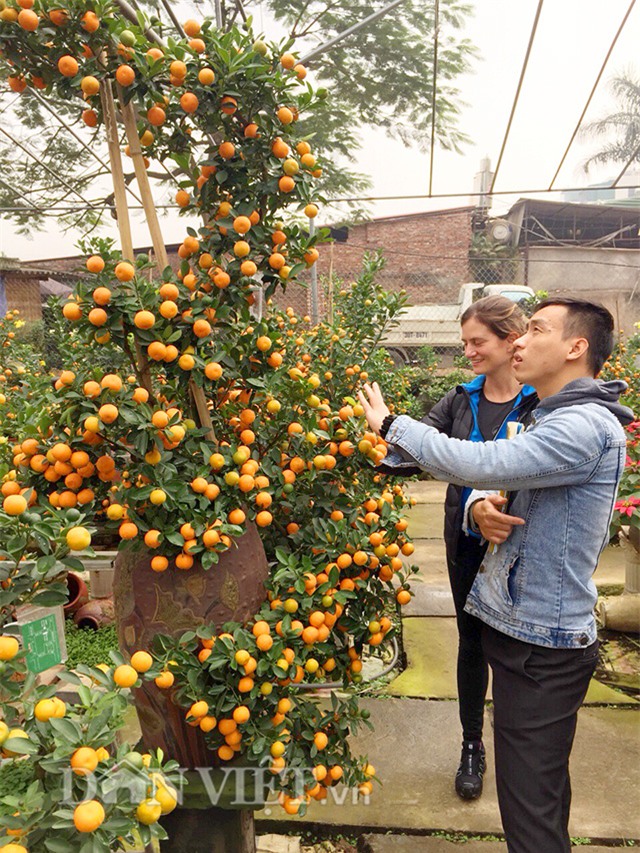 doc nhat vo nhi: quat la the kim long bach ma 