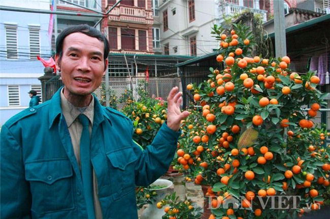 doc nhat vo nhi: quat la the kim long bach ma 