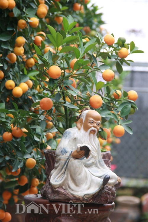 doc nhat vo nhi: quat la the kim long bach ma