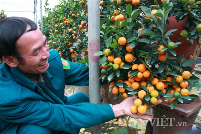 doc nhat vo nhi: quat la the kim long bach ma