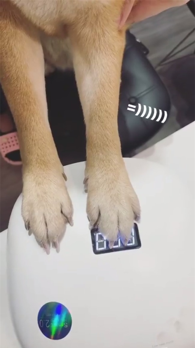 Em cún đến tiệm làm nail, cắt dũa xong còn chơi hẳn tráng gương để giữ móng - Ảnh 2.