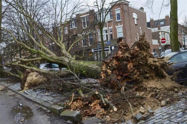 khoanh khac gio cuc manh thoi nguoi bay nhu la cay, ai xem cung hai hung - 2