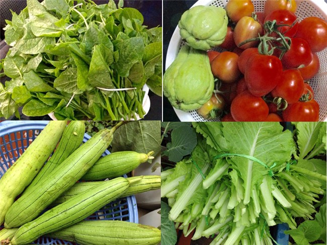 kiếm tiền tiêu tết,tiết kiệm tiền tiêu tết,cách kiếm tiền tiêu tết