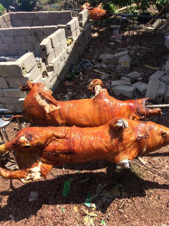 Khi bạn thèm lợn quay và trổ tài bắt chước đầu bếp siêu đẳng trên Youtube, kết quả có thể thảm hại thế này đây - Ảnh 17.