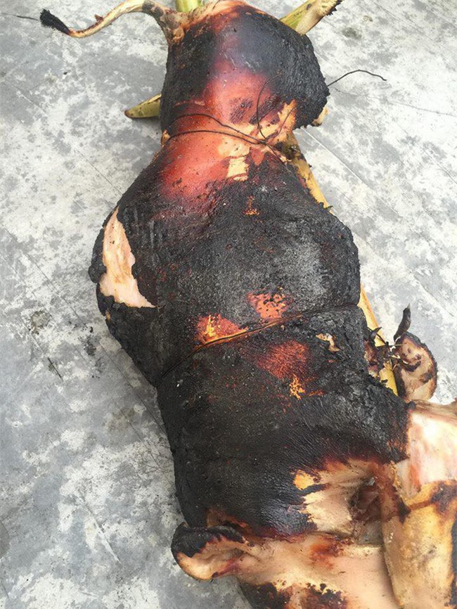 Khi bạn thèm lợn quay và trổ tài bắt chước đầu bếp siêu đẳng trên Youtube, kết quả có thể thảm hại thế này đây - Ảnh 5.