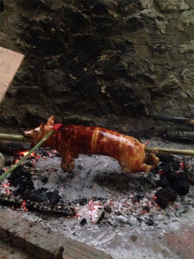 Khi bạn thèm lợn quay và trổ tài bắt chước đầu bếp siêu đẳng trên Youtube, kết quả có thể thảm hại thế này đây - Ảnh 9.