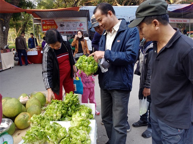 Đặc sản mầm đá từ Sa Pa bất ngờ đắt như tôm tươi tại hội chợ Tết giữa lòng Thủ đô - Ảnh 5.