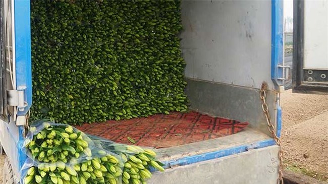 ha noi xuat hien them mot 