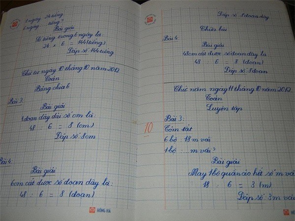 Chữ viết tay siêu đẹp của bé gái 8 tuổi người Việt gây xôn xao trên Reddit - Ảnh 2.