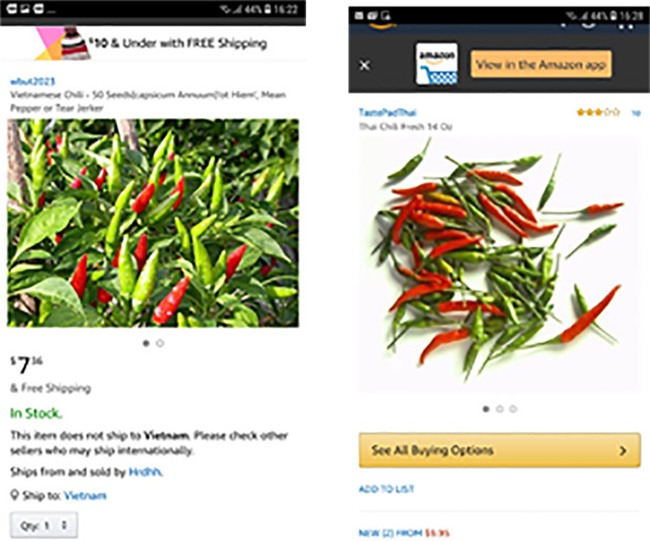 bán hàng trực tuyến,hàng Việt rao bán trên Amazon