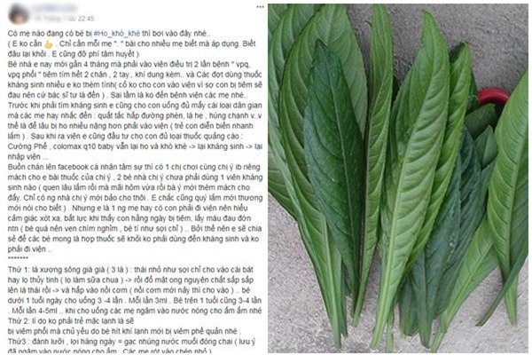 me tre mach bai thuoc tri ho cho be bang la xuong song nhung hang nghin chi em phan doi - 1