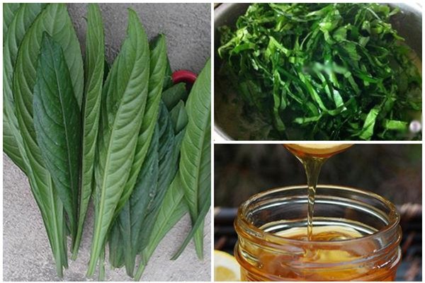 me tre mach bai thuoc tri ho cho be bang la xuong song nhung hang nghin chi em phan doi - 2