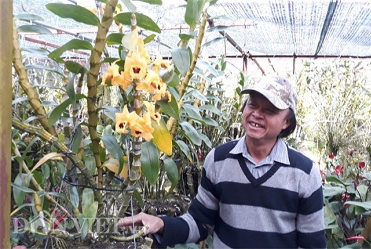 vuon lan dep ngay ngat, 