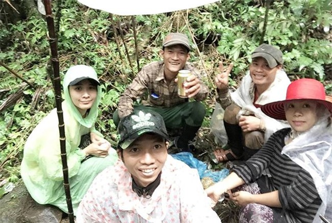 sâm Ngọc Linh,sâm quý,nhân sâm