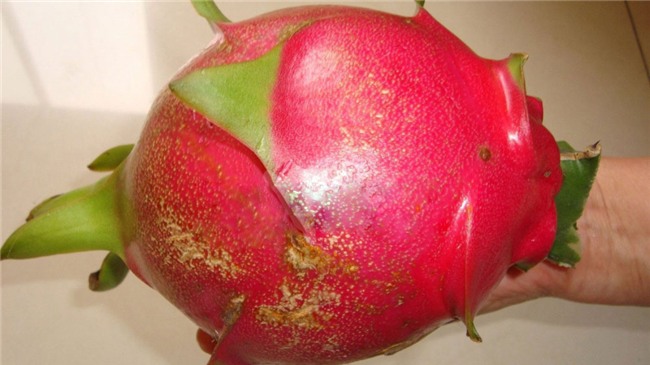 nông sản Việt,hoa quả nhập khẩu,hàng Việt trên amazon