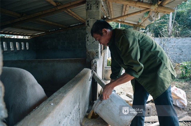 Bố mẹ Bùi Tiến Dũng vẫn vui vẻ cắt mía, cho trâu ăn ở quê nhà: "Việt Nam vô địch, chúng tôi sẽ mổ bò để liên hoan!" - Ảnh 2.