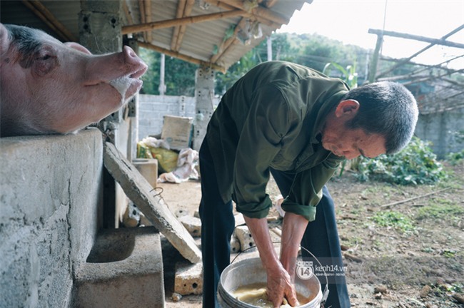 Bố mẹ Bùi Tiến Dũng vẫn vui vẻ cắt mía, cho trâu ăn ở quê nhà: "Việt Nam vô địch, chúng tôi sẽ mổ bò để liên hoan!" - Ảnh 2.