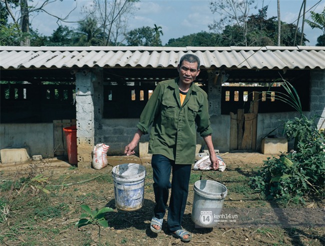 Bố mẹ Bùi Tiến Dũng vẫn vui vẻ cắt mía, cho trâu ăn ở quê nhà: "Việt Nam vô địch, chúng tôi sẽ mổ bò để liên hoan!" - Ảnh 3.