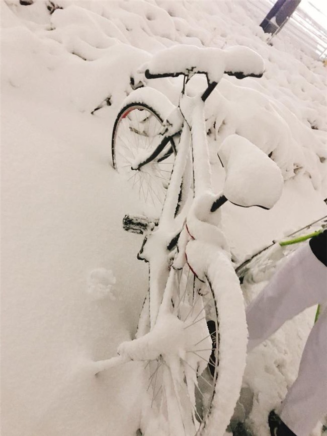 DHS Việt tại Nhật lo lắng vì thời tiết lạnh nhất trong 48 năm qua - Ảnh 3.