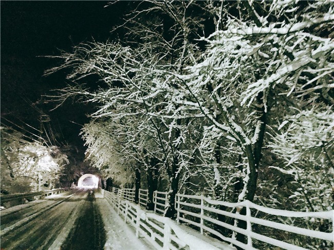 DHS Việt tại Nhật lo lắng vì thời tiết lạnh nhất trong 48 năm qua - Ảnh 4.