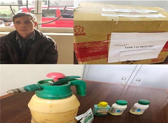 Bắt kẻ gian phá hoại 400 gốc quất của 2 nông dân - ảnh 4