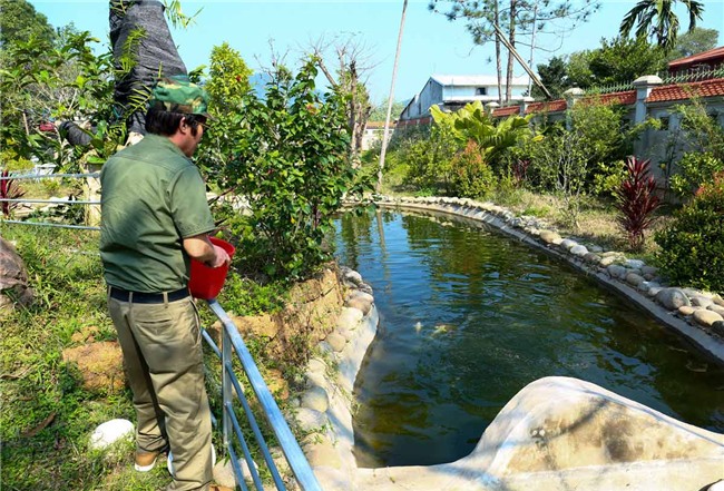 Trung tướng Hữu Ước,Tướng Ước