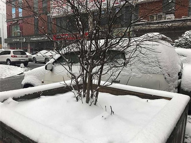 Mưa tuyết dày đặc, có khả năng hoãn chung kết U23 châu Á - ảnh 1