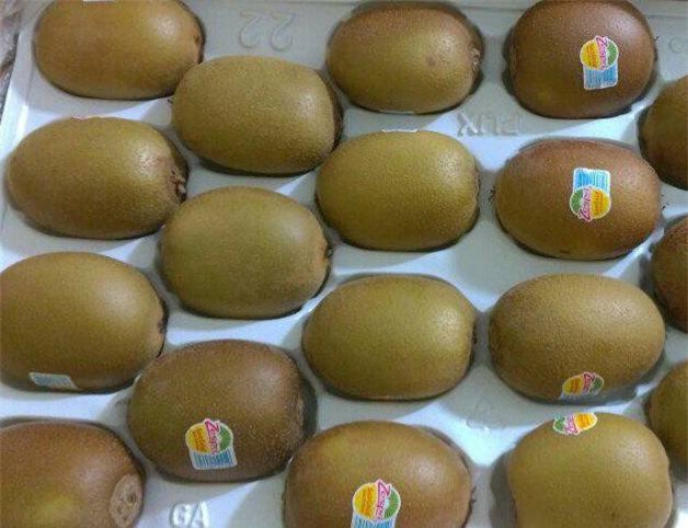 quả kiwi,hoa quả quý tộc,đặc sản nhà giàu,giới nhà giàu việt