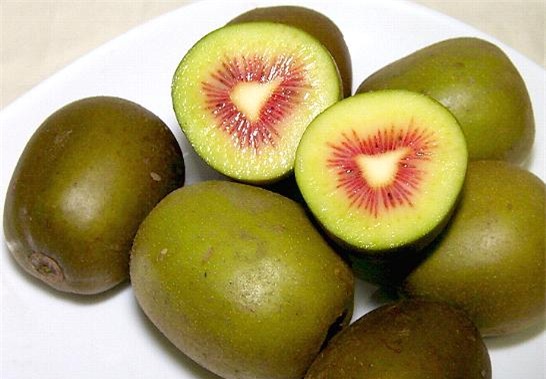 quả kiwi,hoa quả quý tộc,đặc sản nhà giàu,giới nhà giàu việt