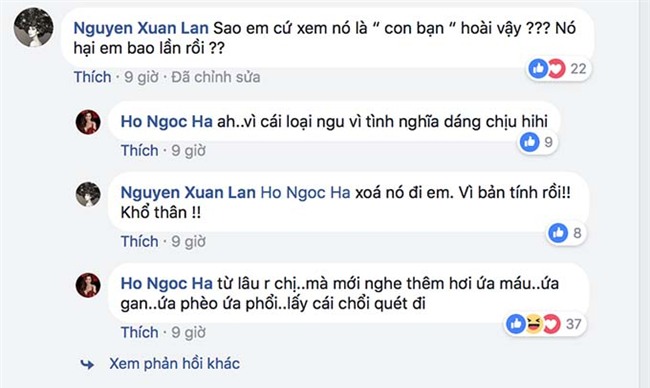 ho ngoc ha dang loi phat day da xeo ke dam sau lung duoc goi la ban hinh anh 3