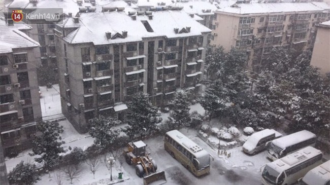 Tuyết rơi quá dày, 14h sẽ thông báo chính thức có hoãn chung kết U23 Việt Nam - U23 Uzbekistan hay không - Ảnh 3.