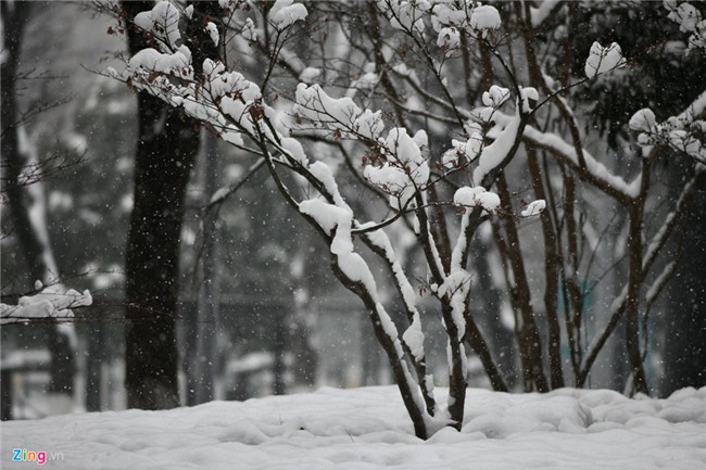 Tuyet phu kin san van dong dien ra tran chung ket U23 chau A hinh anh 21