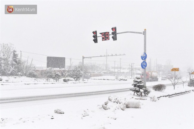 CĐV Việt Nam lội mưa tuyết trắng xóa, tới sân cổ vũ thầy trò HLV Park Hang Seo - Ảnh 4.