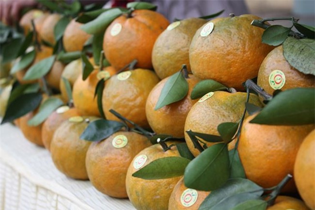 Tết này về quê của Xuân Trường thôi! Có nhiều đặc sản làm say lòng người thế này cơ mà - Ảnh 9.