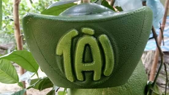 Hoa quả độc lạ, quả trưng Tết