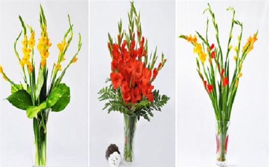 nhung loai hoa dep trung bay dip tet mang lai may man cho gia chu - 3