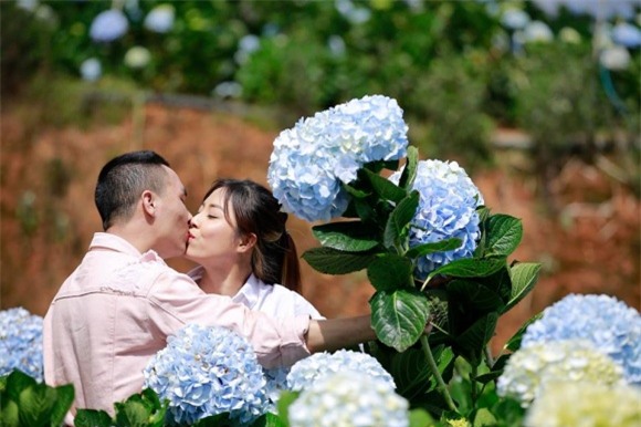BTV Nguyễn Hoàng Linh, BTV Nguyễn Hoàng Linh và bạn trai, BTV Nguyễn Hoàng Linh và chồng sắp cưới
