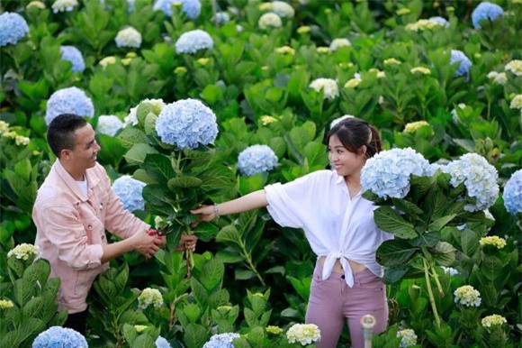 BTV Nguyễn Hoàng Linh, BTV Nguyễn Hoàng Linh và bạn trai, BTV Nguyễn Hoàng Linh và chồng sắp cưới