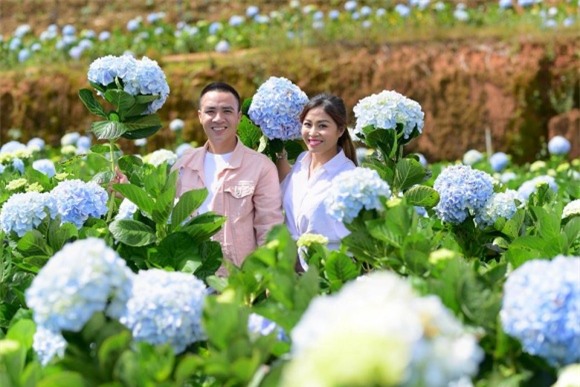 BTV Nguyễn Hoàng Linh, BTV Nguyễn Hoàng Linh và bạn trai, BTV Nguyễn Hoàng Linh và chồng sắp cưới