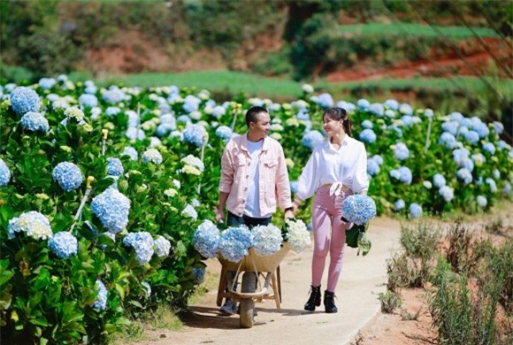 BTV Nguyễn Hoàng Linh, BTV Nguyễn Hoàng Linh và bạn trai, BTV Nguyễn Hoàng Linh và chồng sắp cưới