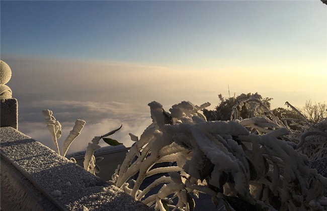 Dự báo thời tiết 30/1: Hà Nội rét sâu, vùng núi nguy cơ có băng tuyết