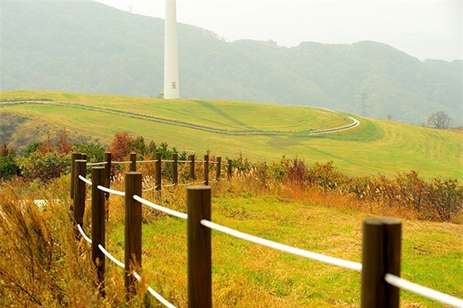 ngat ngay o trai cuu ma chang hip xuan truong cung ban gai chup anh song ao hinh anh 13