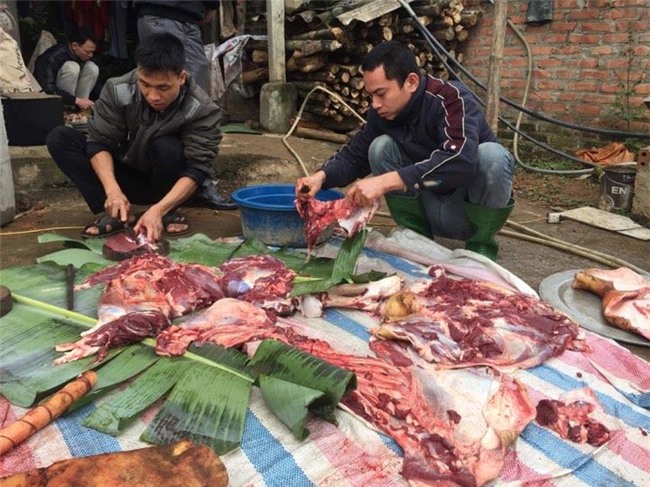 "thanh lay" ha duc chinh: "em thich di chan trau nhu ngay xua" - 3