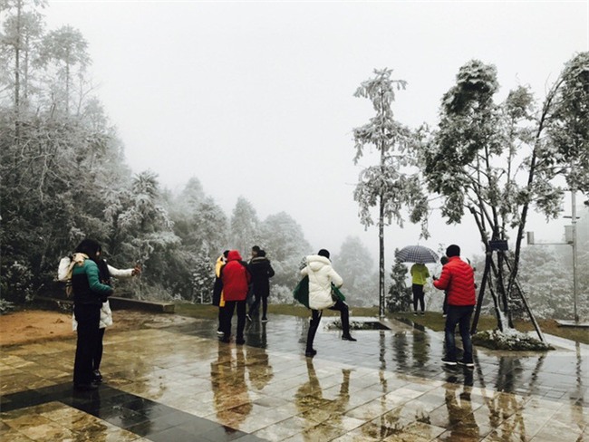 Chùm ảnh: Tuyết rơi phủ trắng Sa Pa, nhiều du khách thích thú chụp ảnh - Ảnh 7.