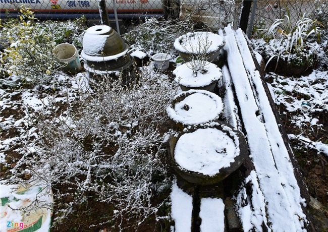 Toan canh tuyet bao phu trang duong ve Sa Pa hinh anh 9