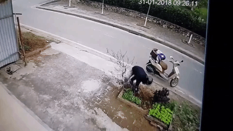 Clip: Mua sẵn chậu, nam thanh niên không quên mượn cây đào về chưng Tết - Ảnh 1.