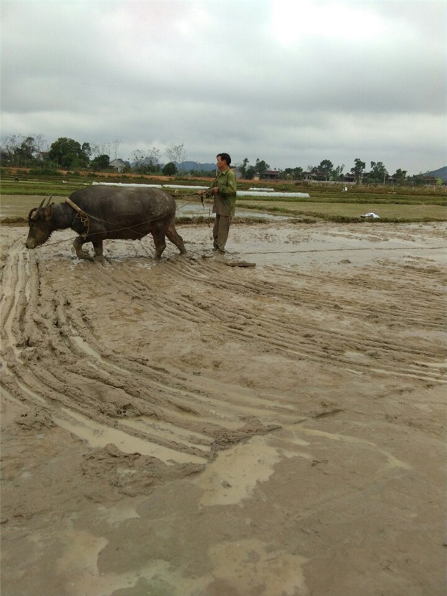 U23 Việt Nam, Xuân Mạnh, Chung kết U23 Châu Á