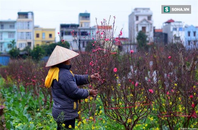 Hồ Gươm từng đóng băng, miền Bắc đã bao giờ rét liên tiếp dưới 10 độ C chưa?