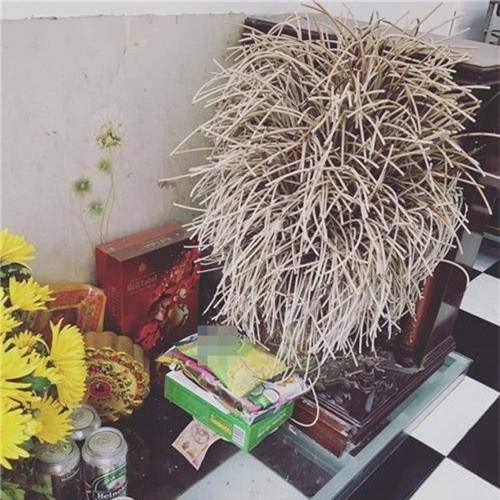 nen hay khong rut tia chan huong: bat huong cang day, gia chu cang... it loc, lam han - 2