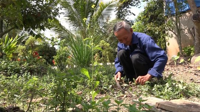 hi huu cu ong sang mat, het cam sau 20 nam bat hanh - 2